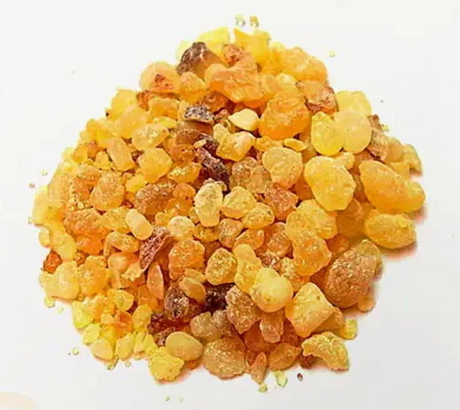 صمغ مصطکی (مستکی) ۵۰گرم